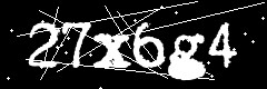 图形验证码